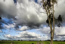 开云体育在线-拜仁封神夜！数据铁幕锁死姆巴佩，欧冠登顶的终极密码