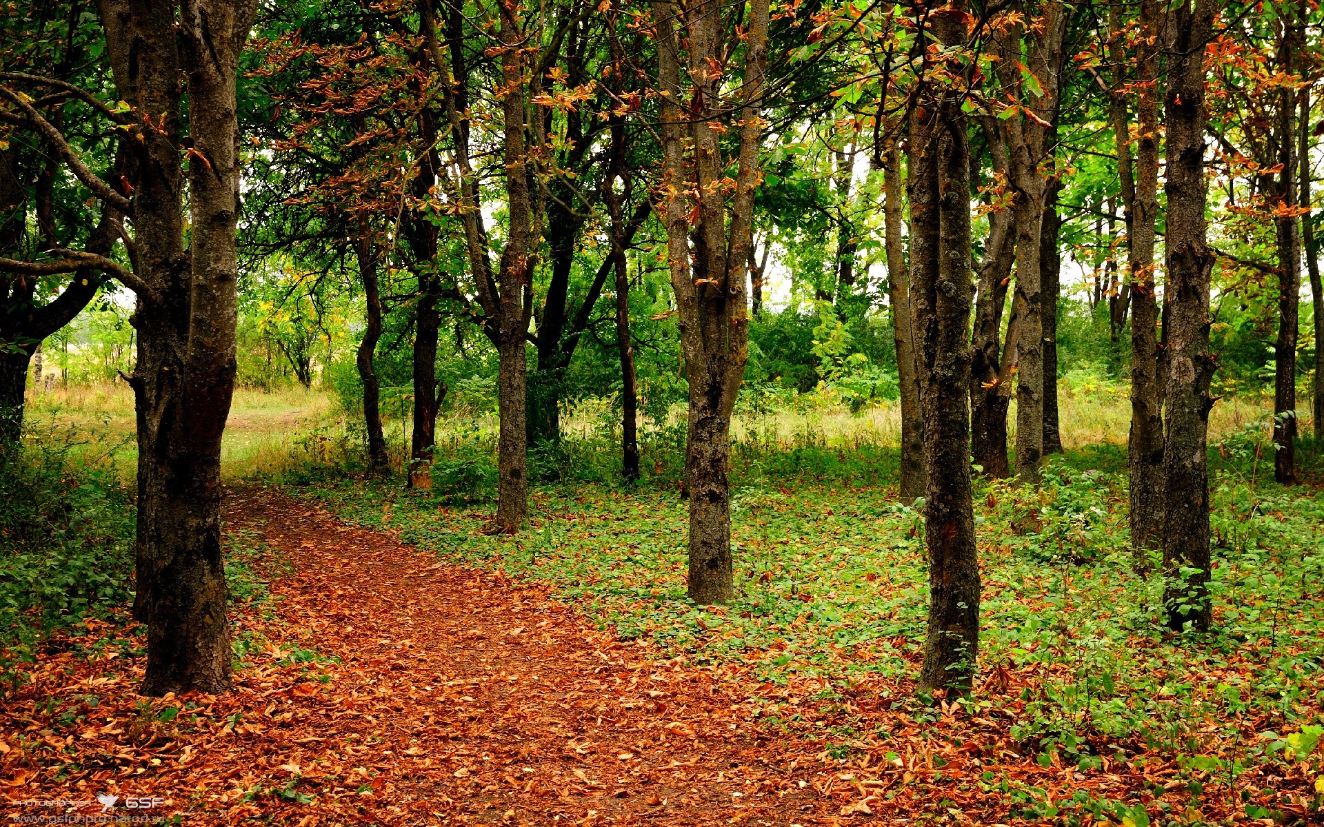 王座之争，奥运周期关键战中的太阳陨落