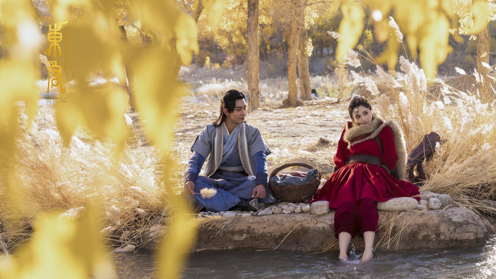 开云体育-唯一的胜利，当三狮驯服格子军，李刚仁于秩序中绽放惊世才华