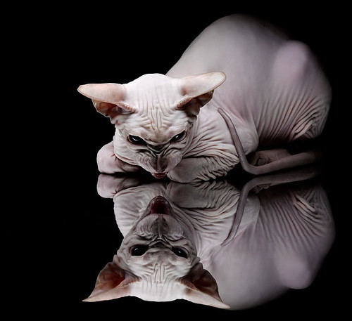 开云体育中国-命运的交叉口，佛罗伦萨终结墨西哥与西决生死战的共同叙事