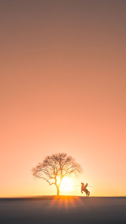 冰与火的对决，步行者撕裂北京铁血阵，武切维奇化身破局关键先生
