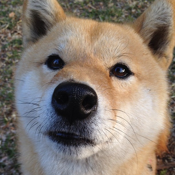 轰塌老鹰防线的不仅是恩比德！末节14分救赎，霍勒迪用硬仗打破所有质疑