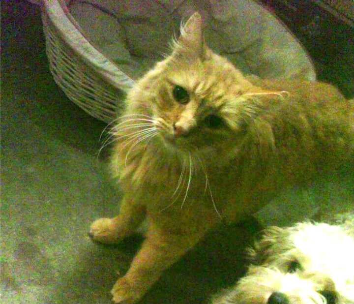 开云体育官网-黄喜灿关键先生闪耀，摩洛哥横扫波兰展雄风