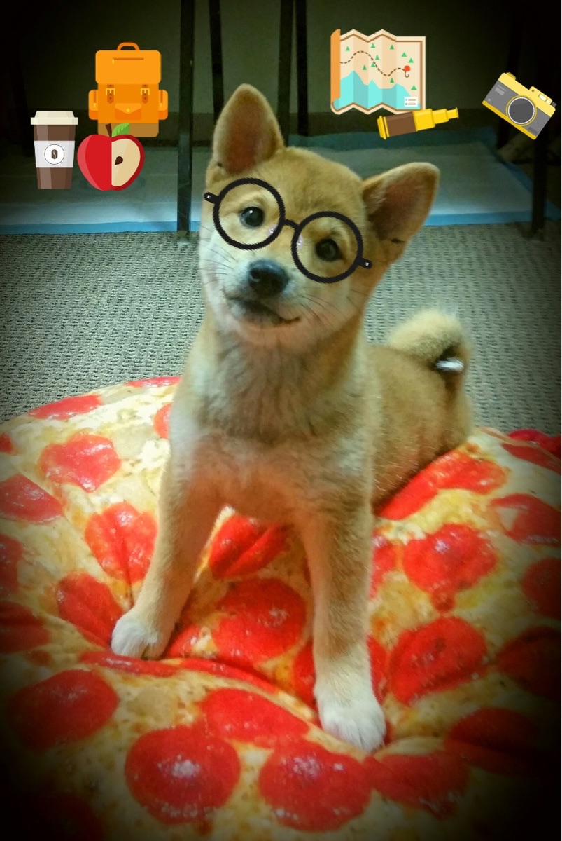 欧冠半决赛焦点战，太阳最后时刻绝杀浙江队，晋级在望