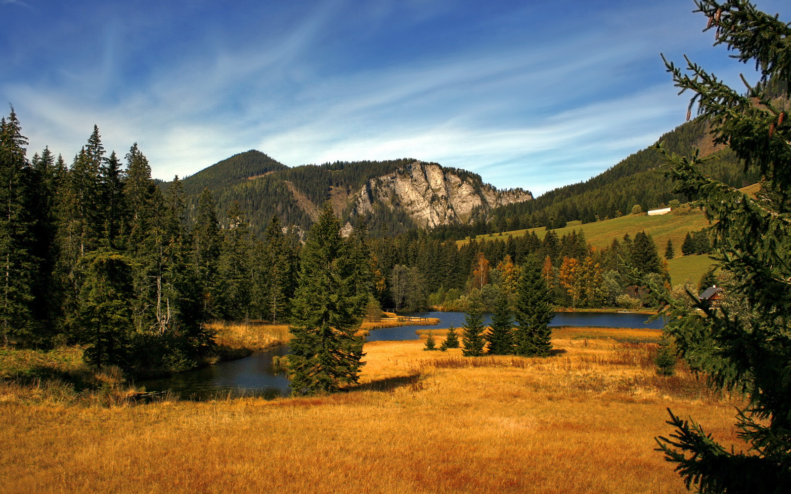 开云体育app-从麦迪逊到世界，布伦森如何成为2026世界杯之夜的攻防转换核心