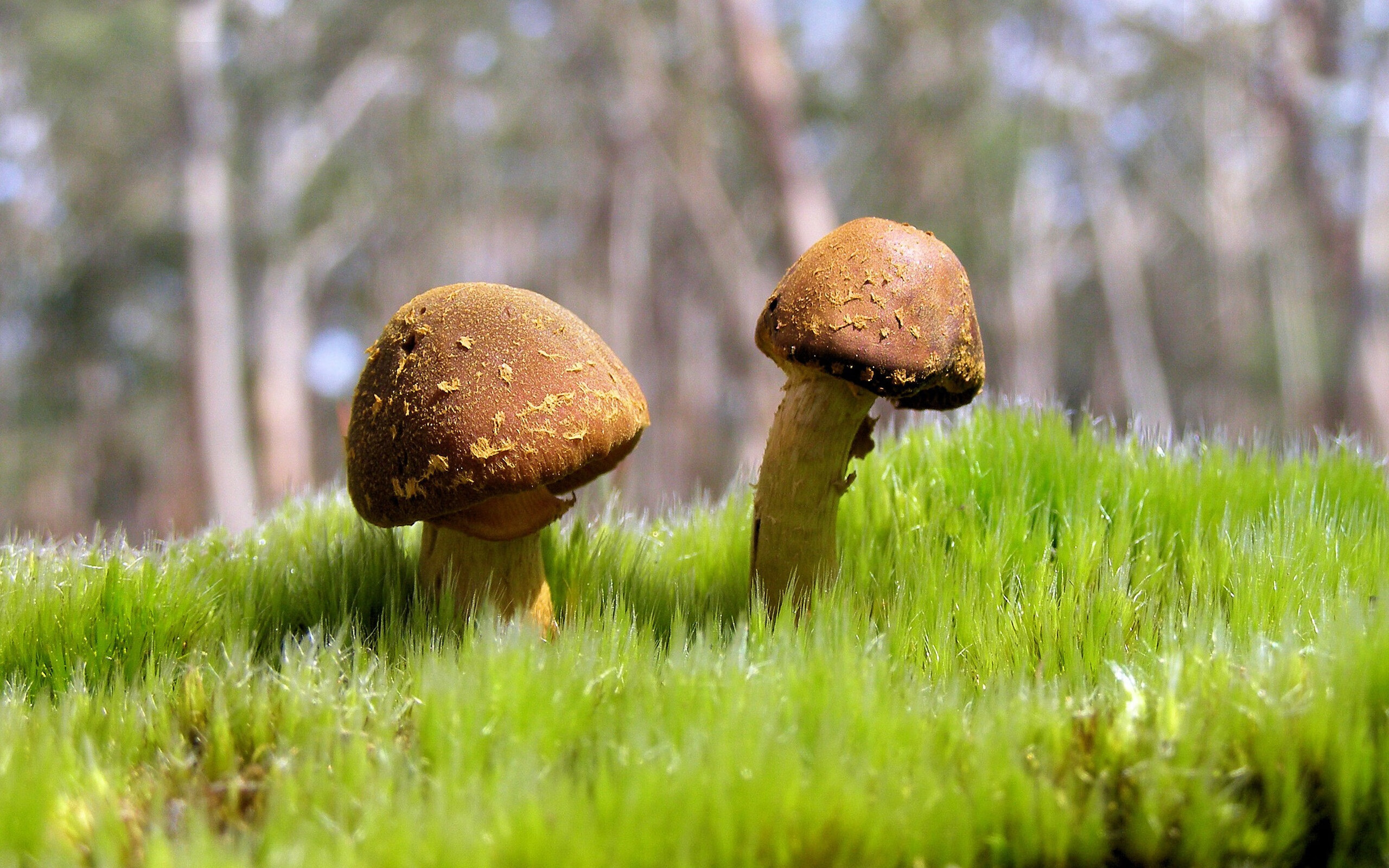 开云体育官网-足篮战火同燃，体坛激情共舞