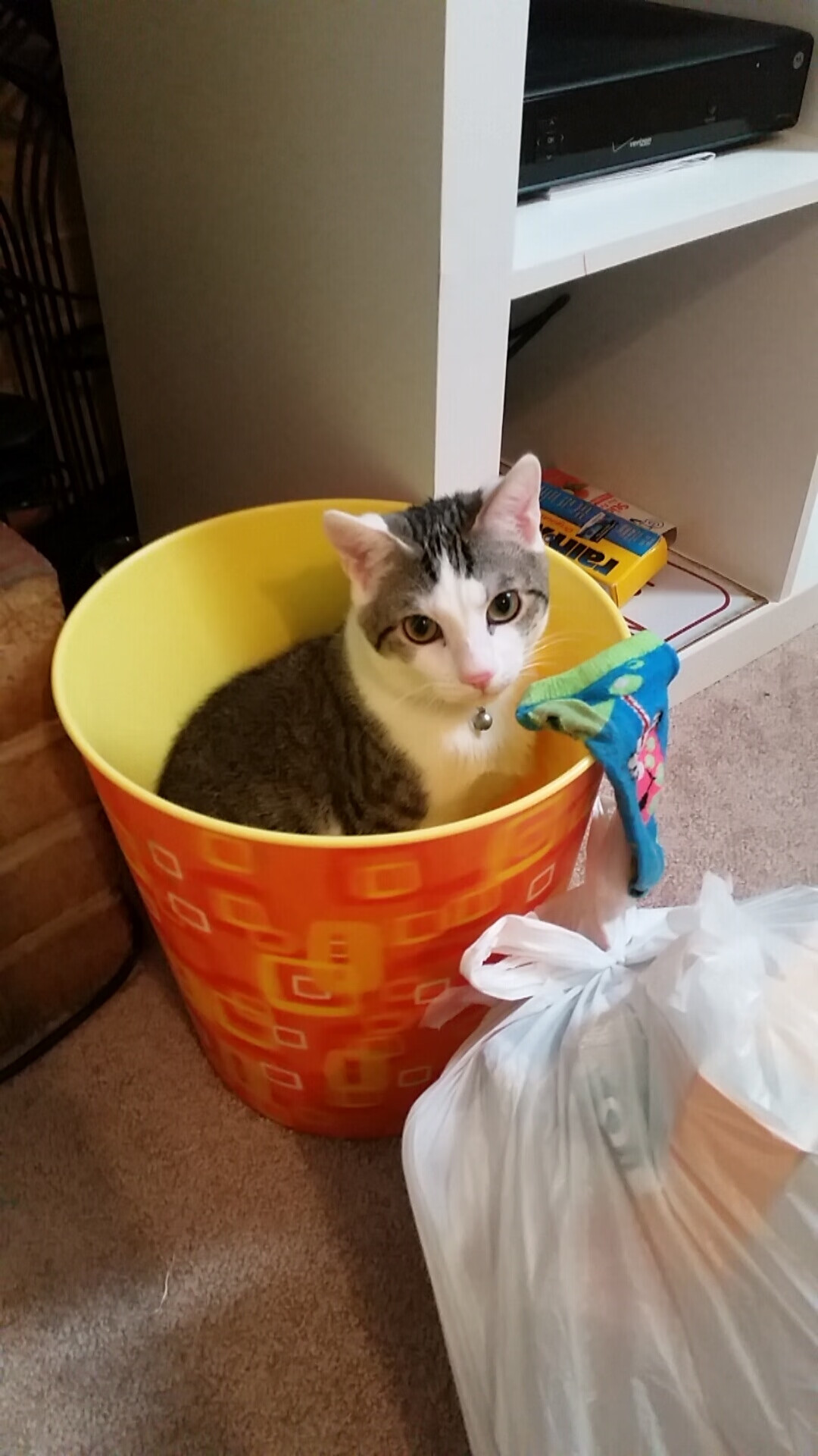 开云体育中国-静默的轰鸣，在奥地利力克里昂，阿劳霍如何让钢铁以唯一的频率呼吸