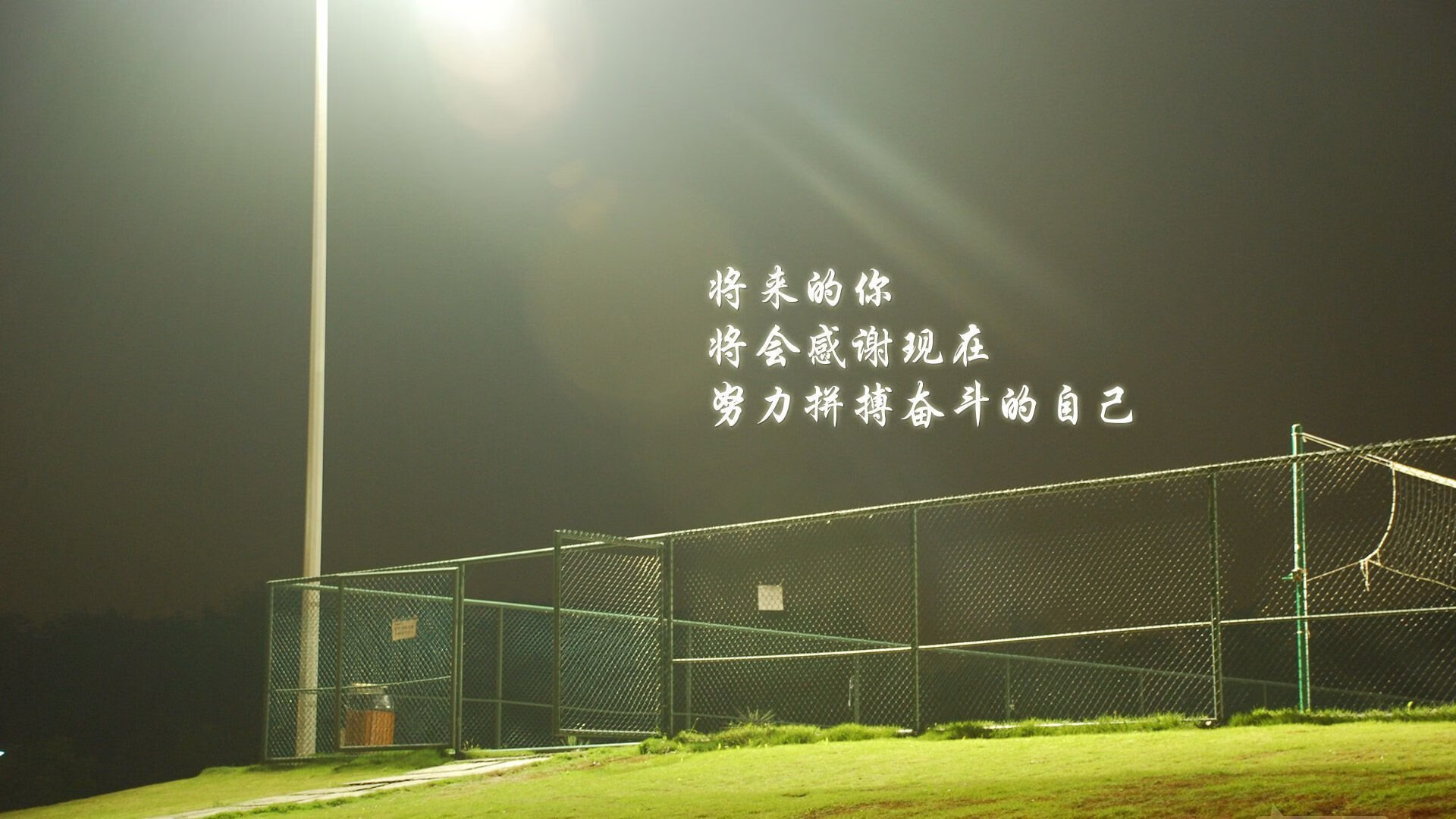 星光与闪电，当个人表演遇见效率机器