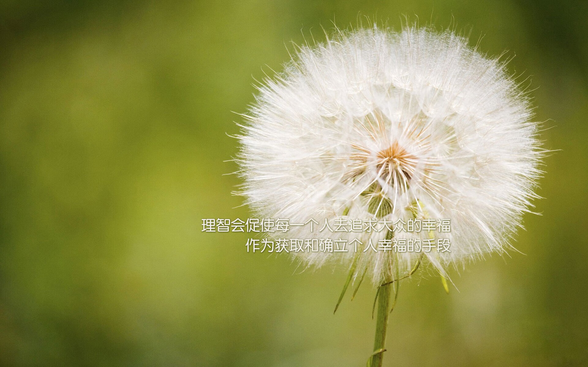 开云体育-无关胜负的正名之战，利拉德冰冷三分背后的沸腾证明