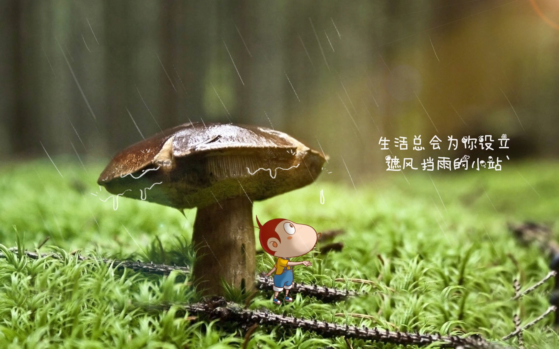 开云体育app-孤篇·E组风暴，当罗马尼亚的铁壁撞上三笘薰的蓝刃，一场定义险胜的战术博弈